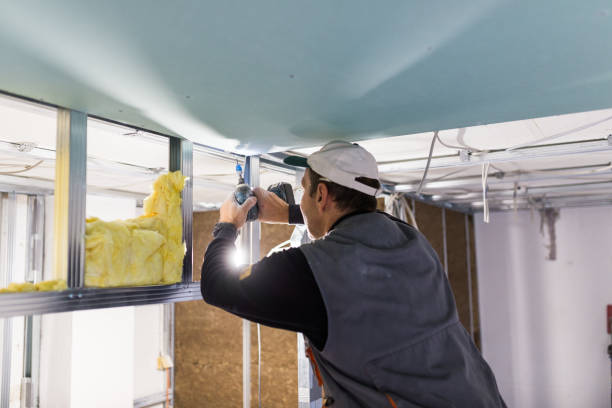 Best Eco-Friendly or Green Insulation Solutions  in USA